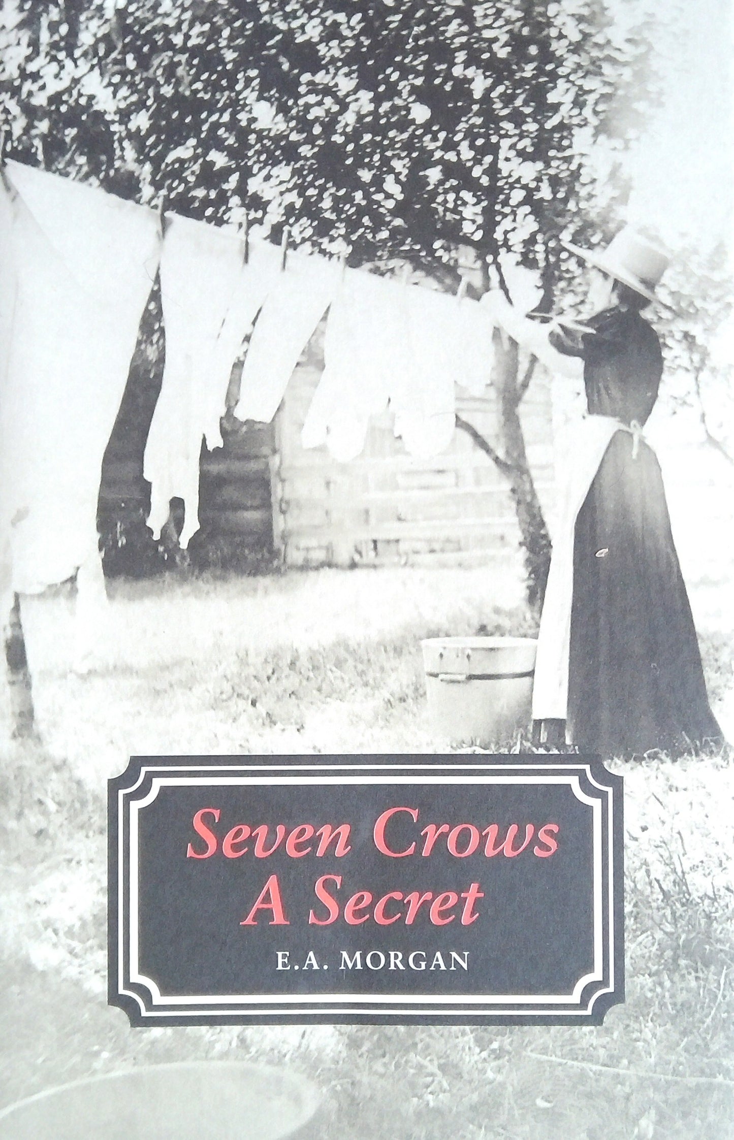 Seven Crows A Secret