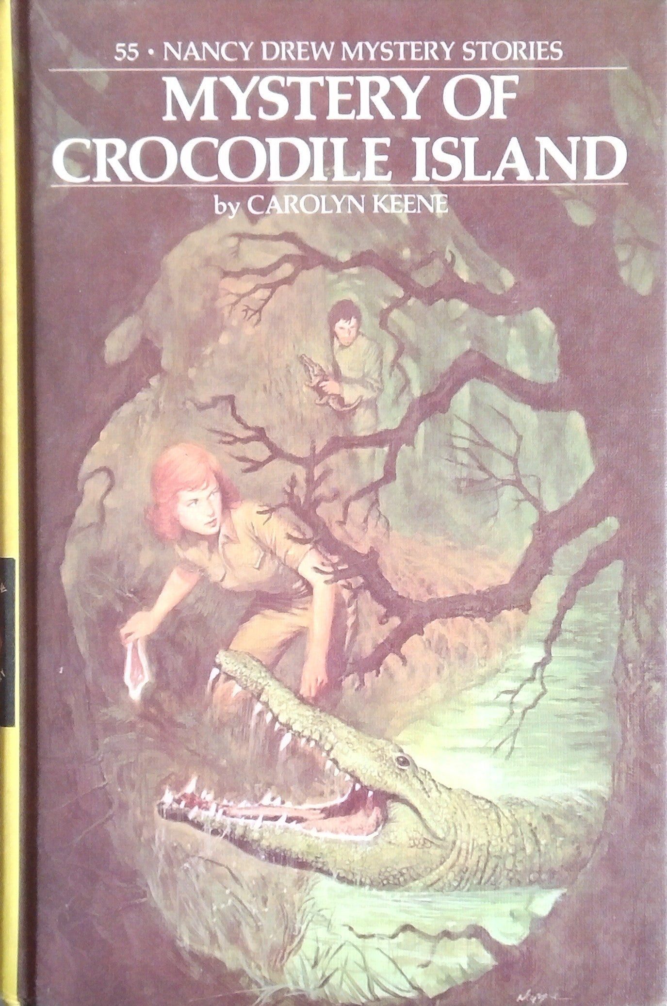Mystery Of Crocodile Island