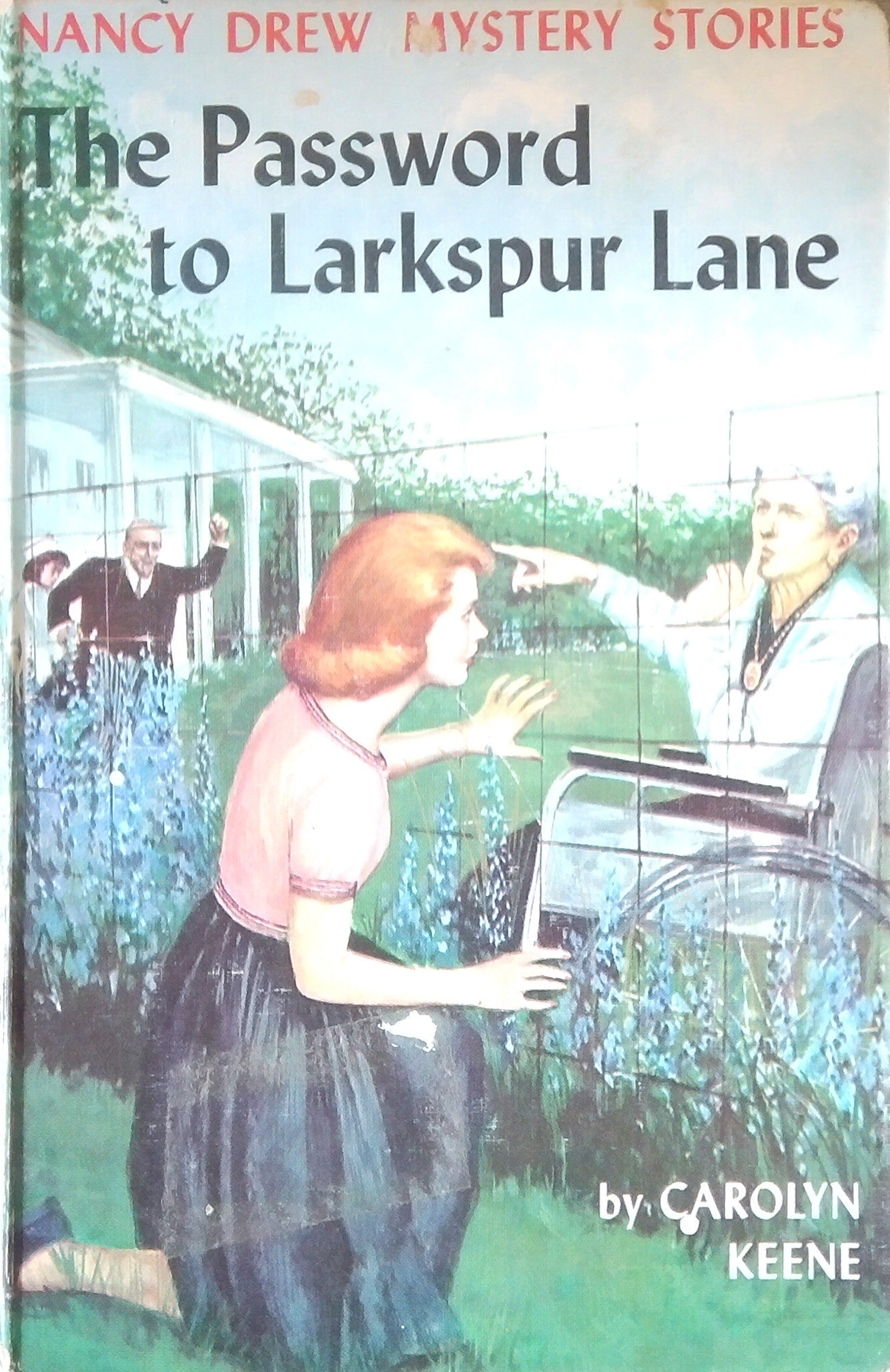 The Password To Larkspur Lane