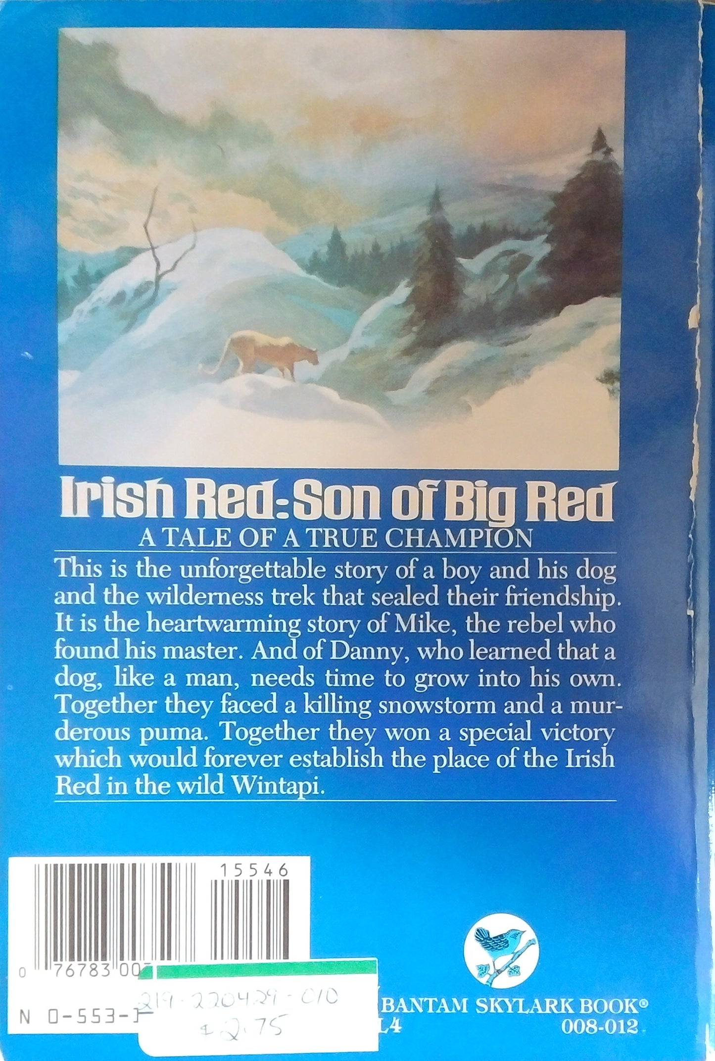 Irish Red