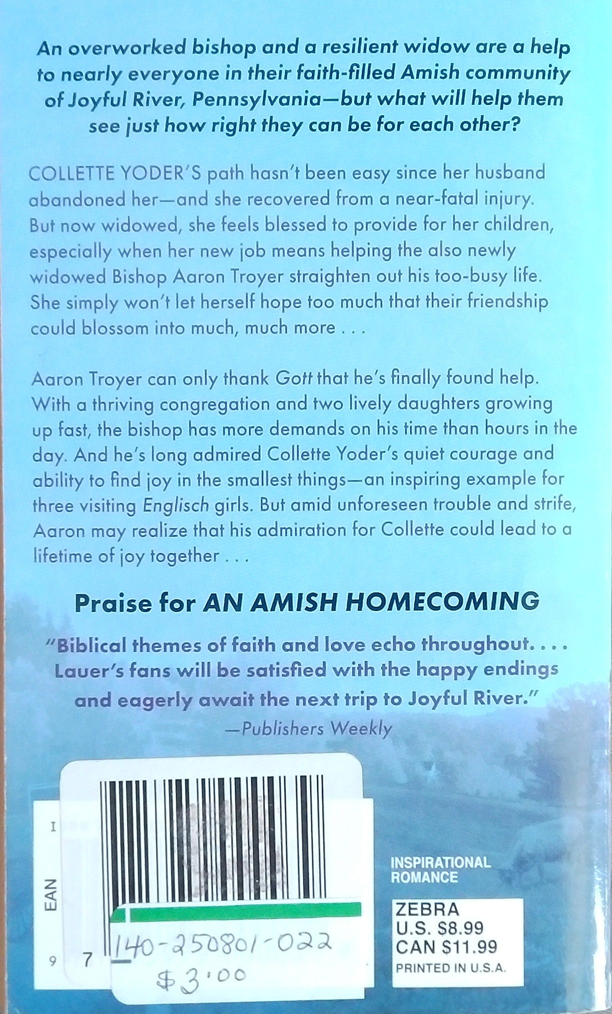 The Love Of A Good Amish Woman
