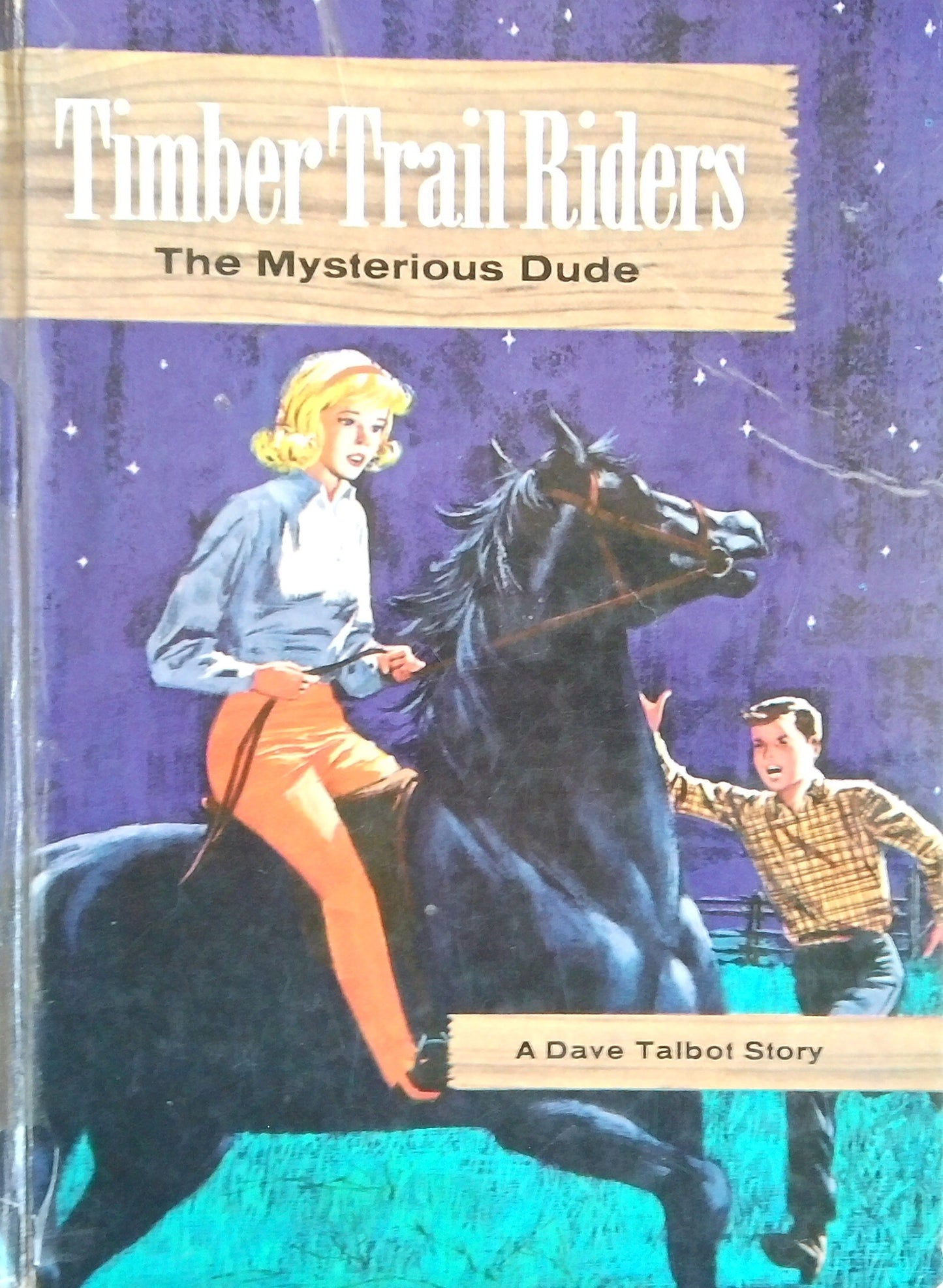 Timber Trail Riders: The Mysterious Dude