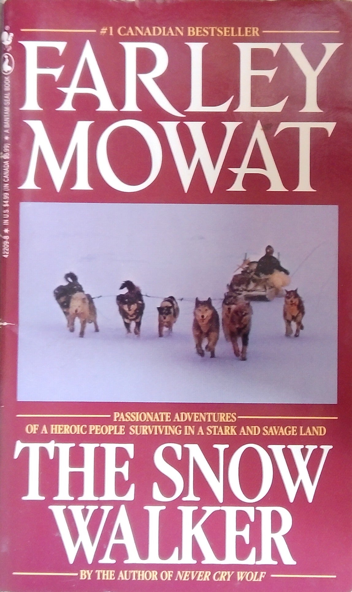 The Snow Walker