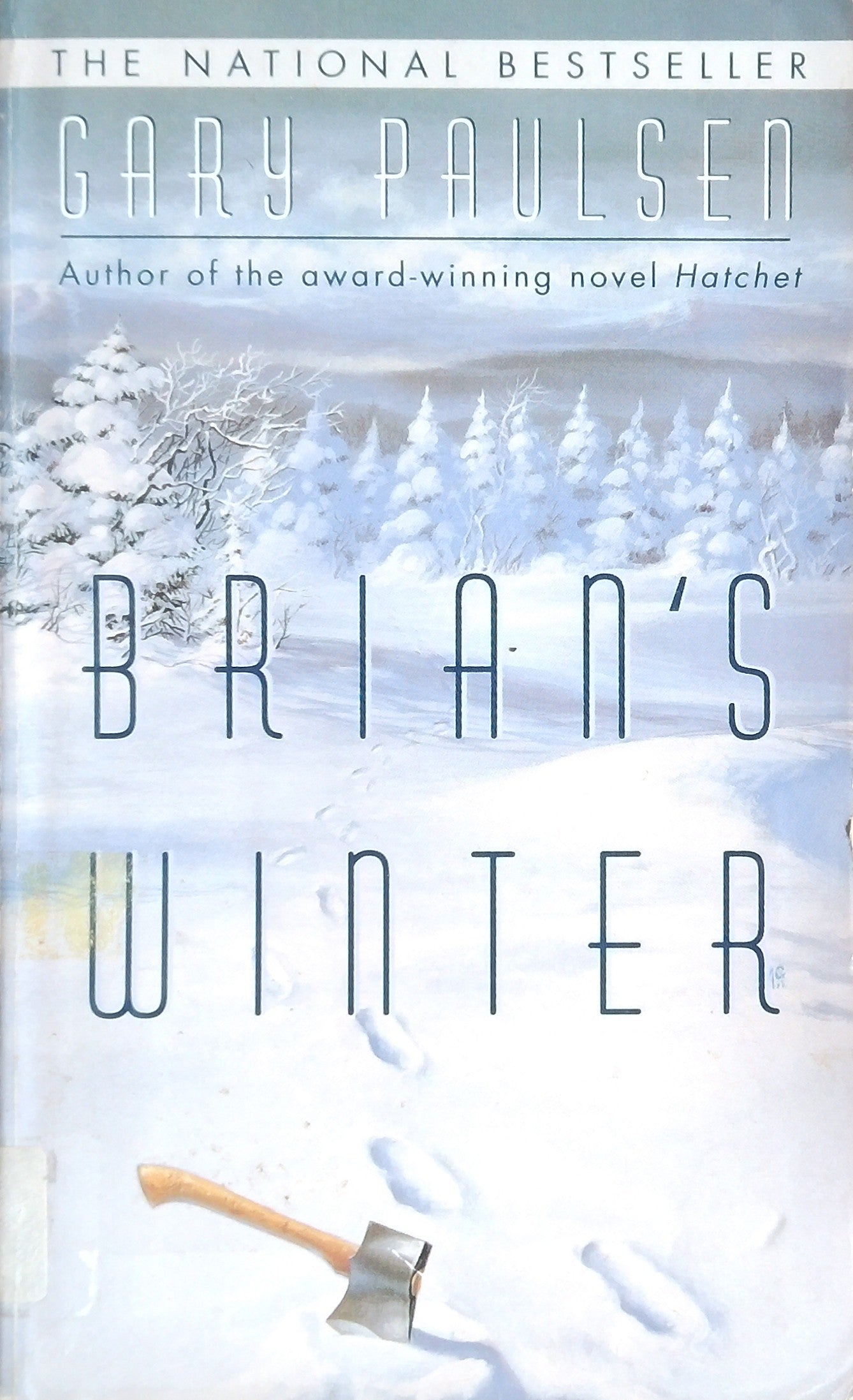 Brian's Winter