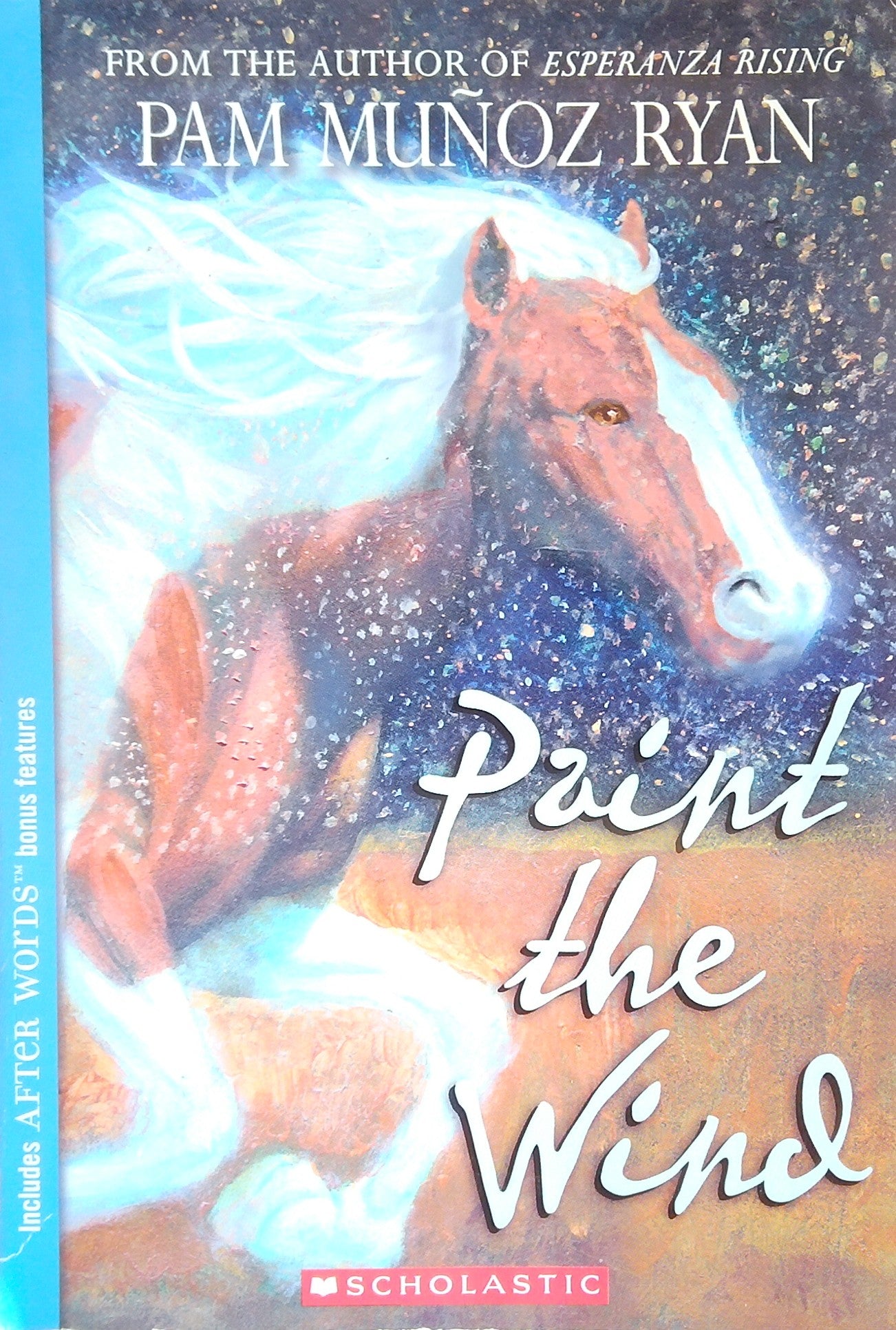 Paint The Wind