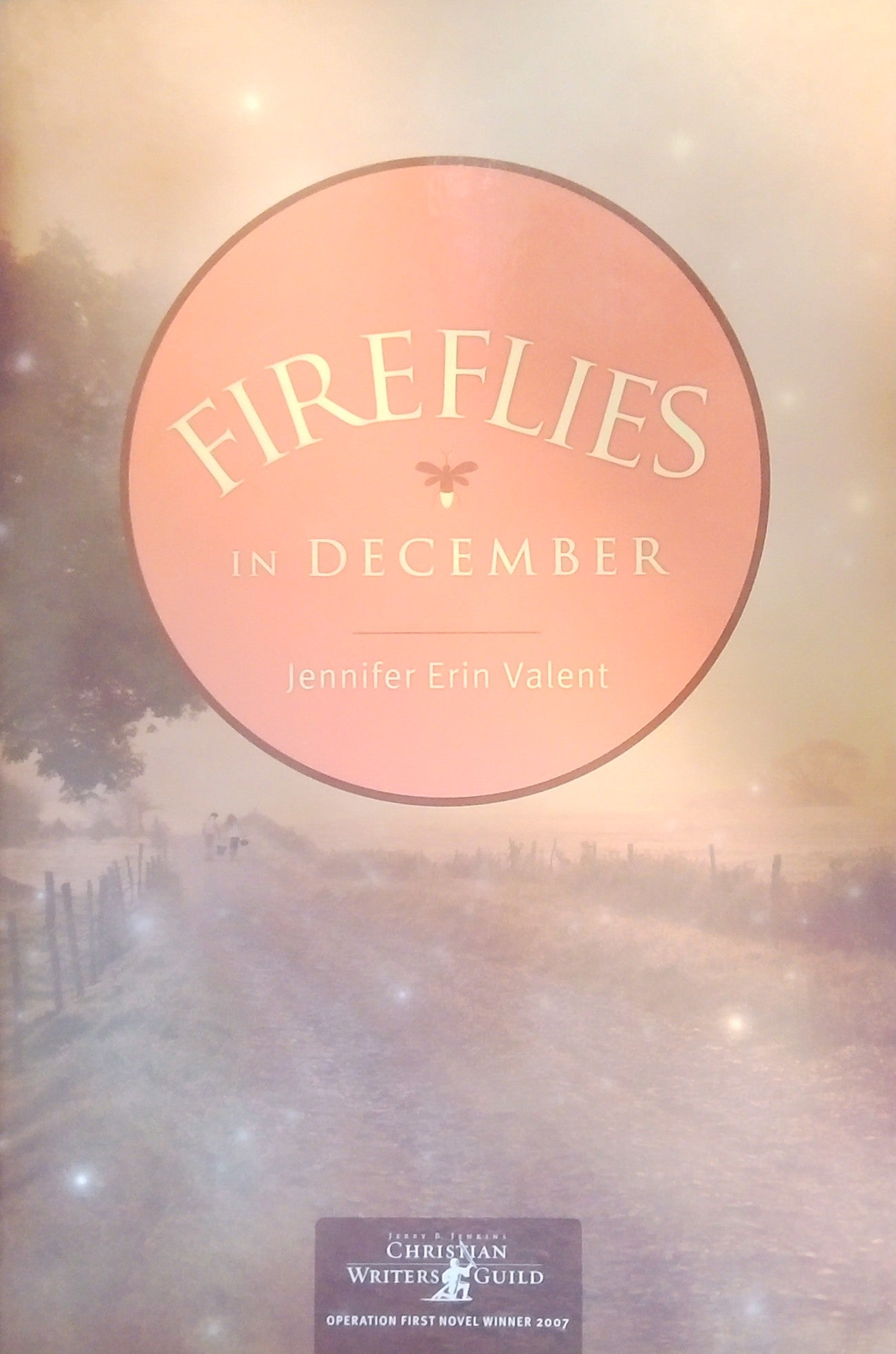 Fireflies In December