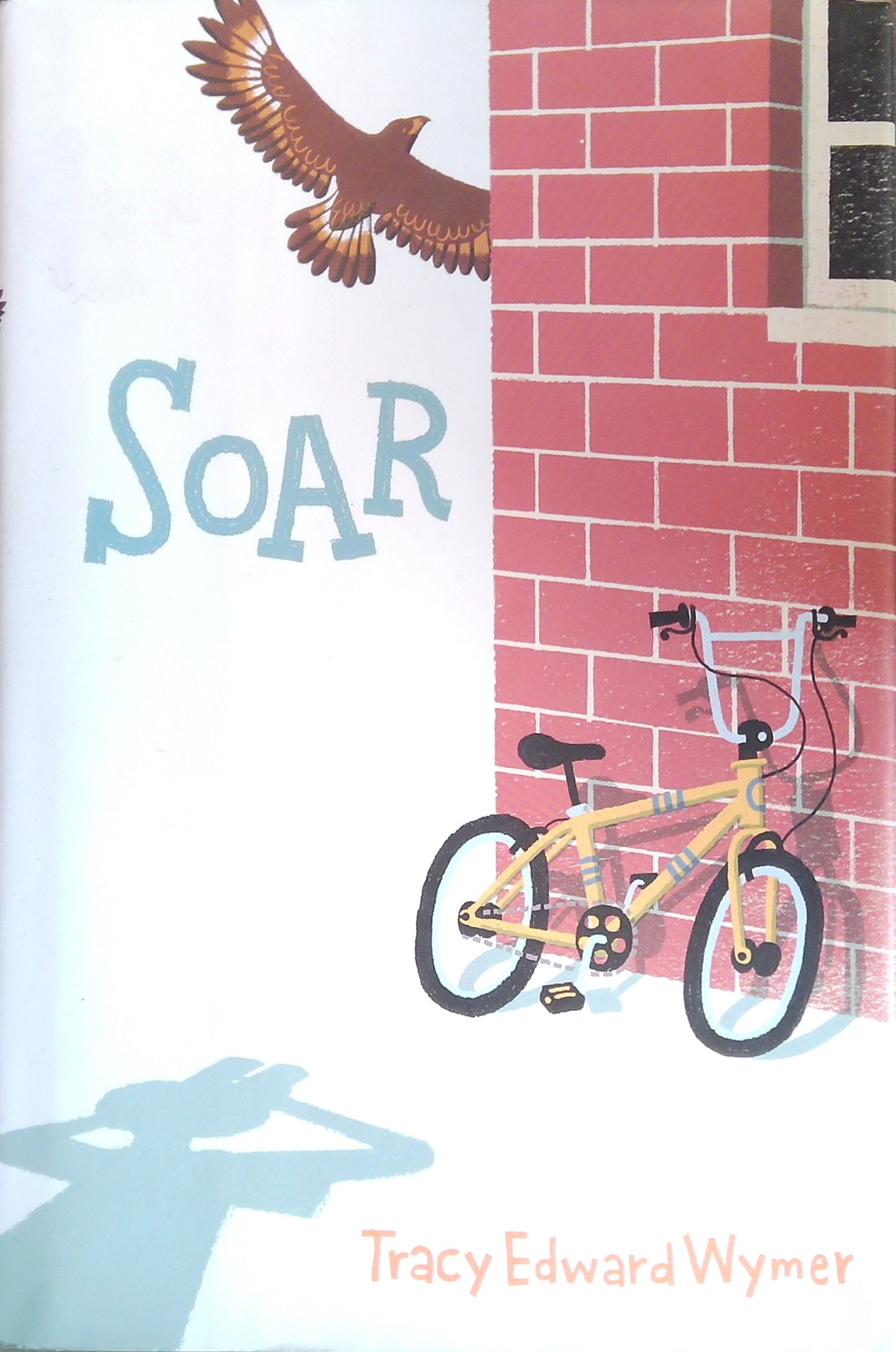 Soar