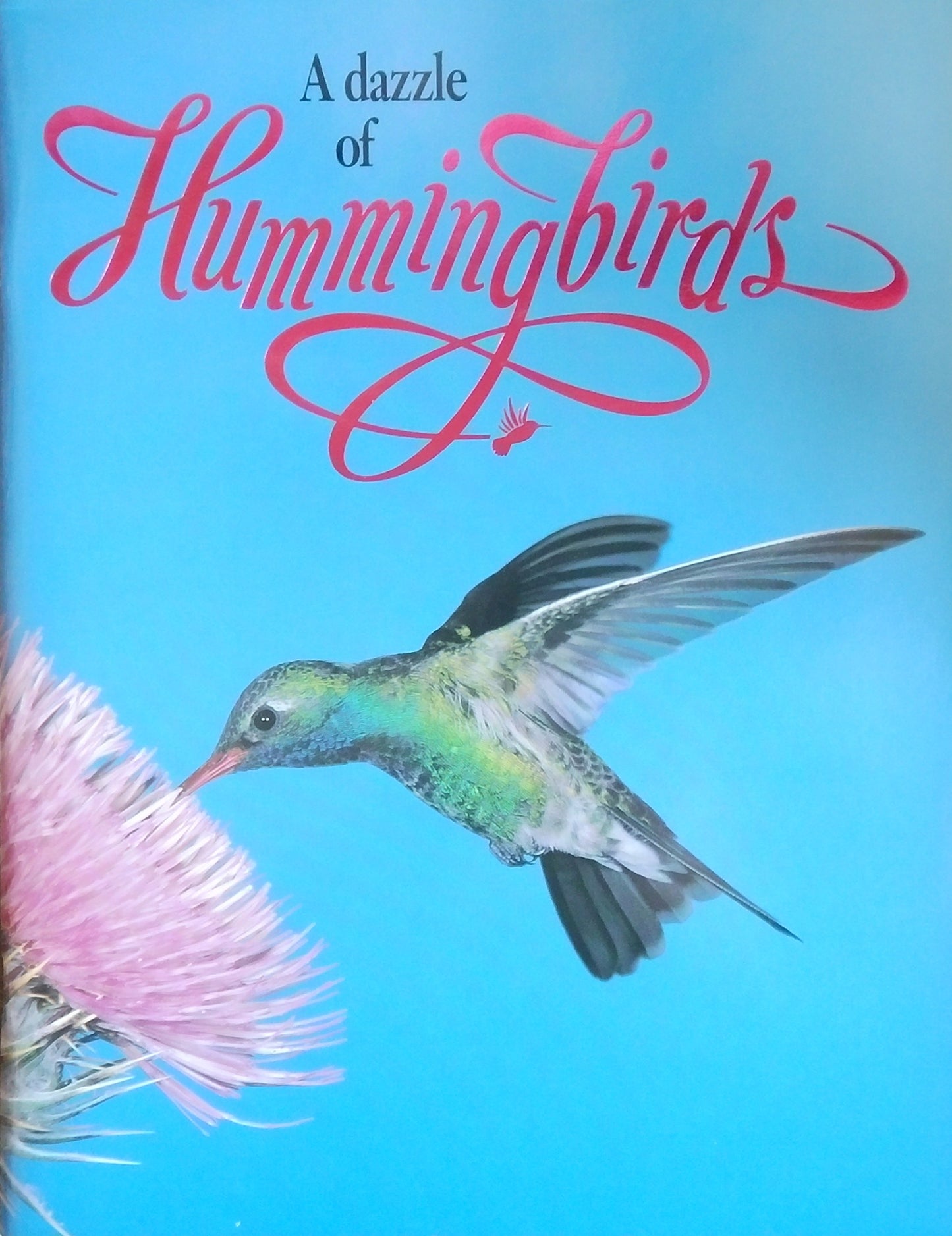 A Dazzle Of Hummingbirds