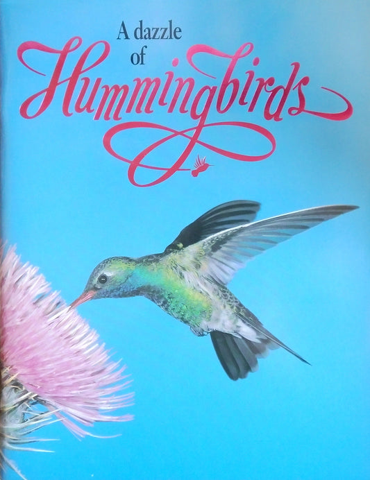A Dazzle Of Hummingbirds