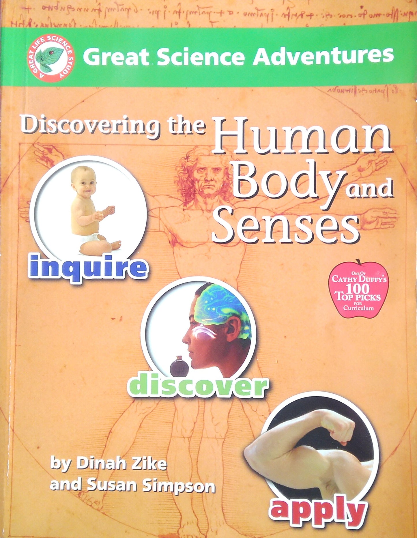 Discovering The Human Body And Senses