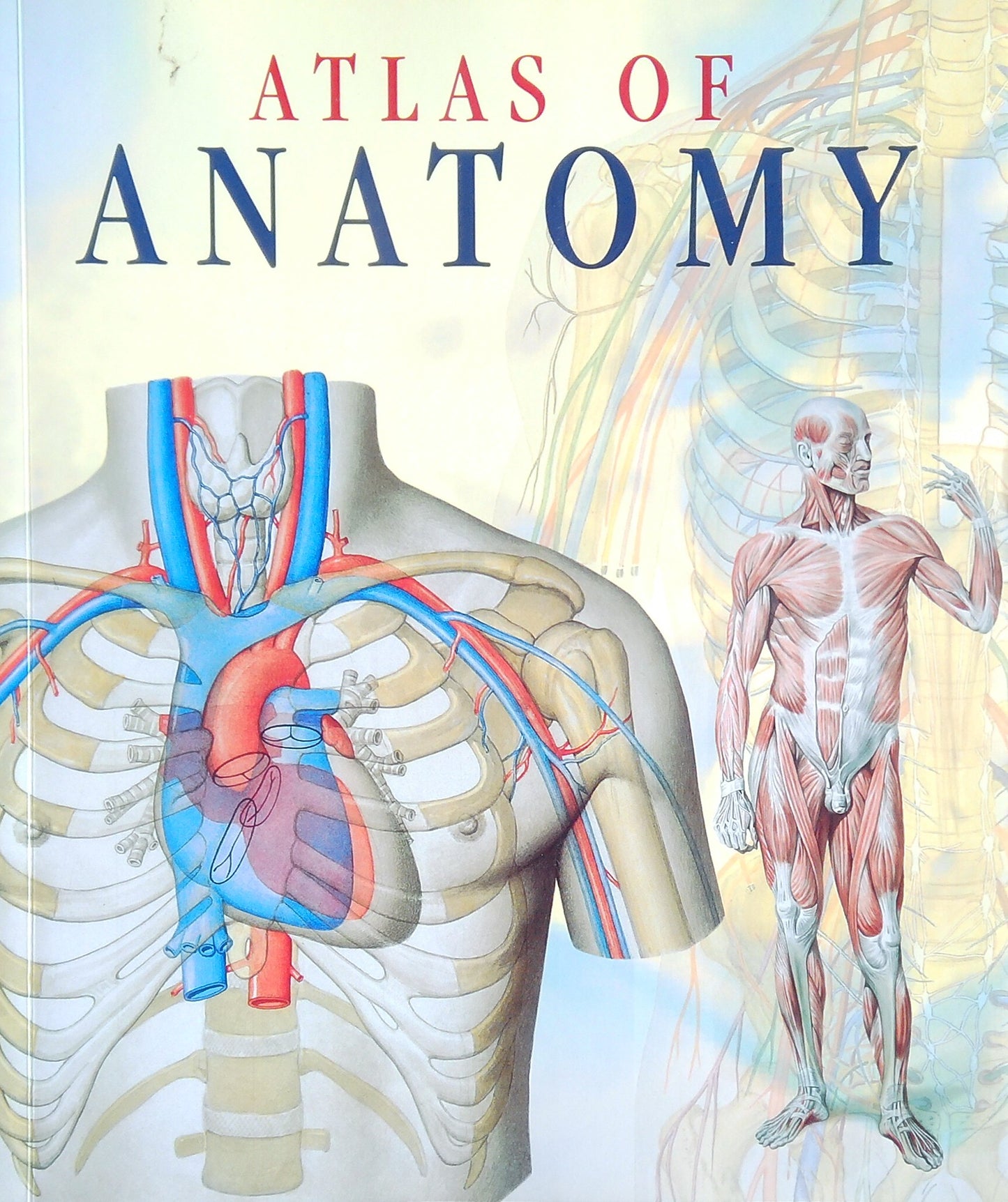 Atlas Of Anatomy