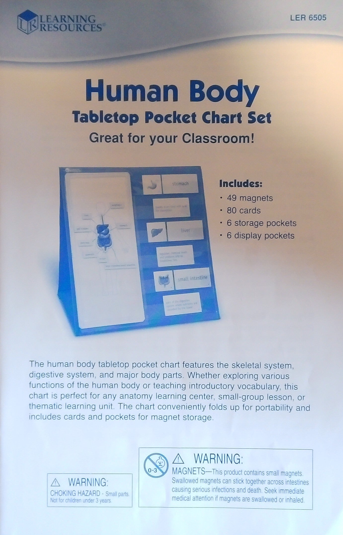 Human Body Tabletop Pocket Chart