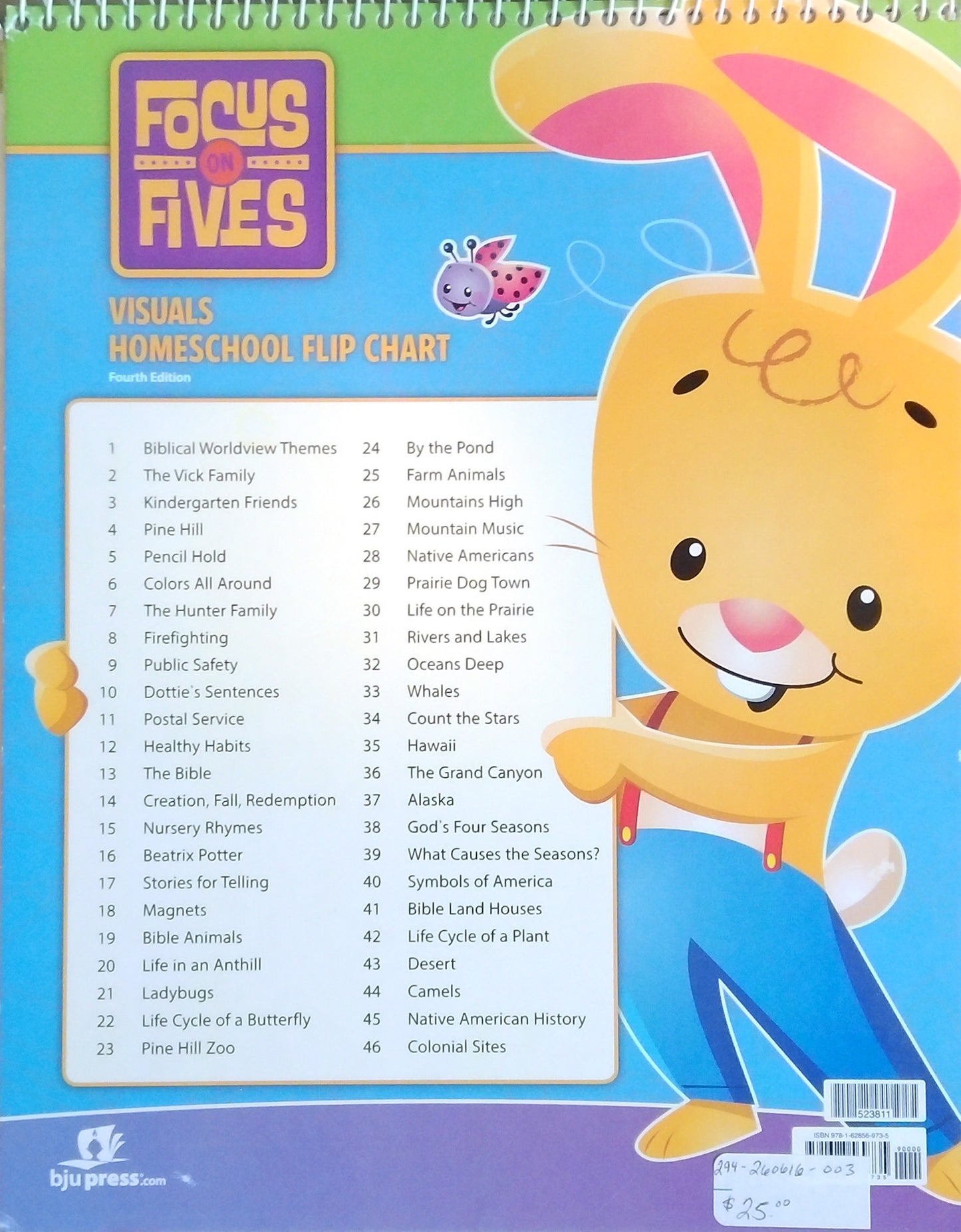 Focus On Fives Visuals Homeschool Flip Chart