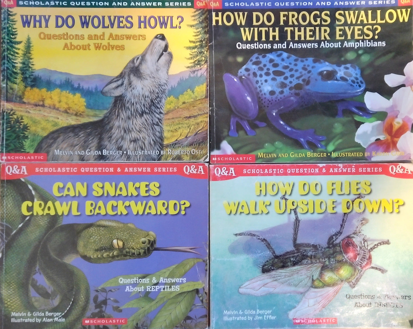 Scholastic Question & Answer Set of 4