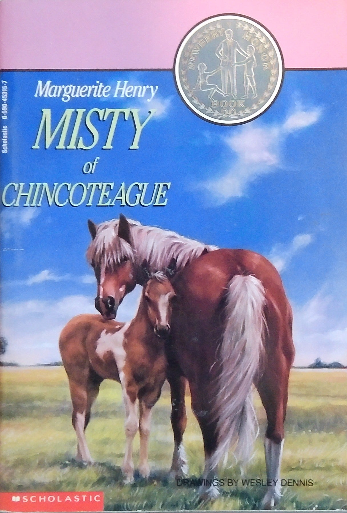 Misty Of Chincoteague