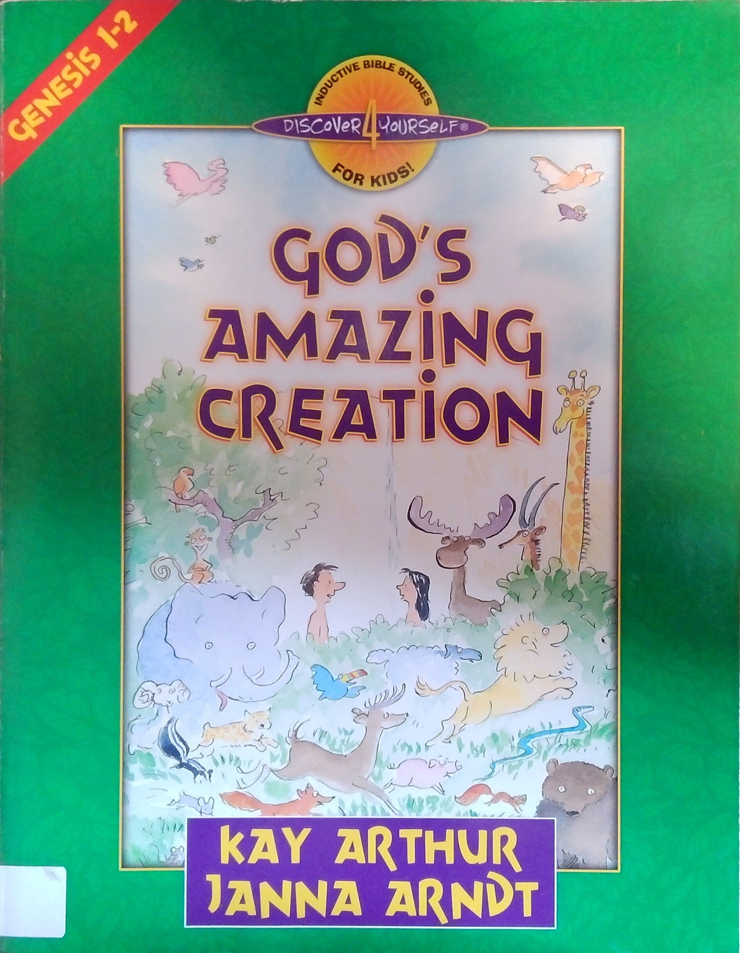 God's Amazing Creation