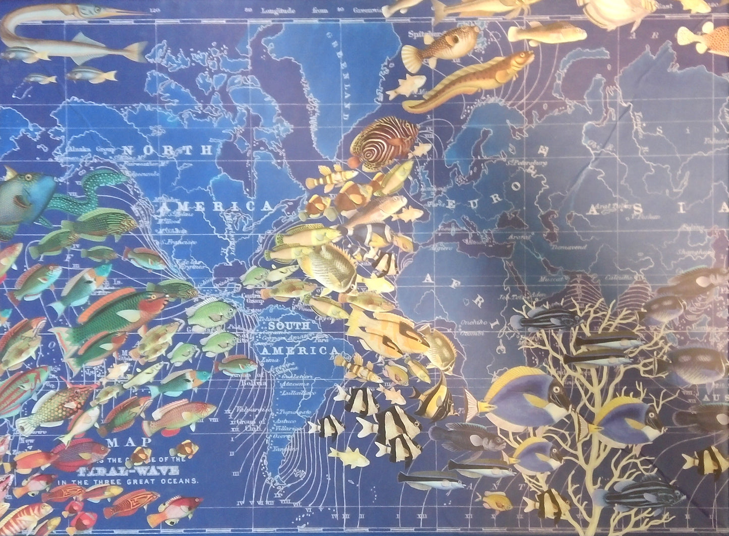 Ocean Life Puzzle