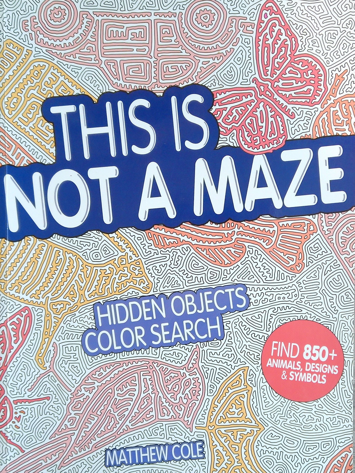 This Is Not A Maze