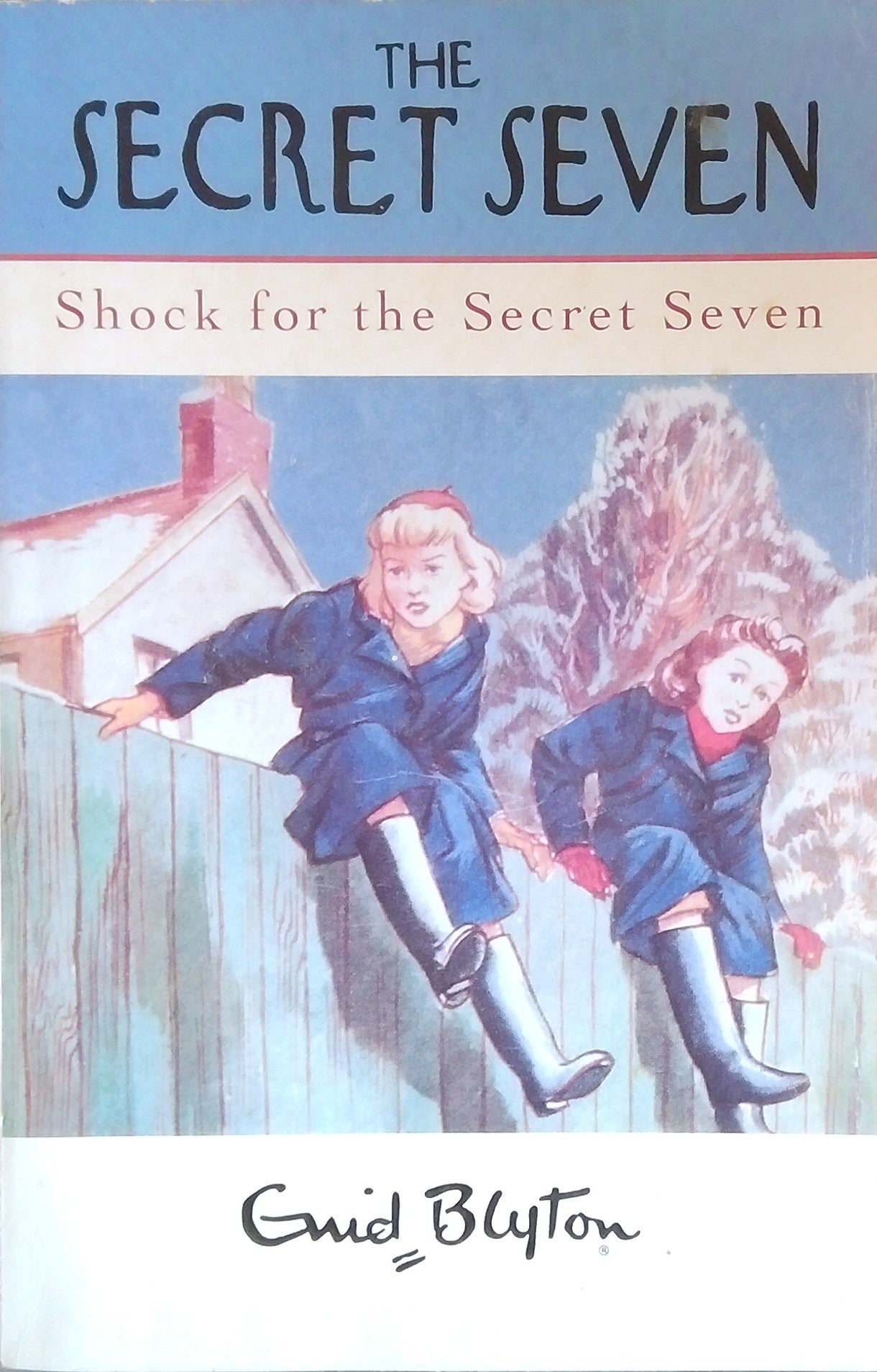 Shock For The Secret Seven