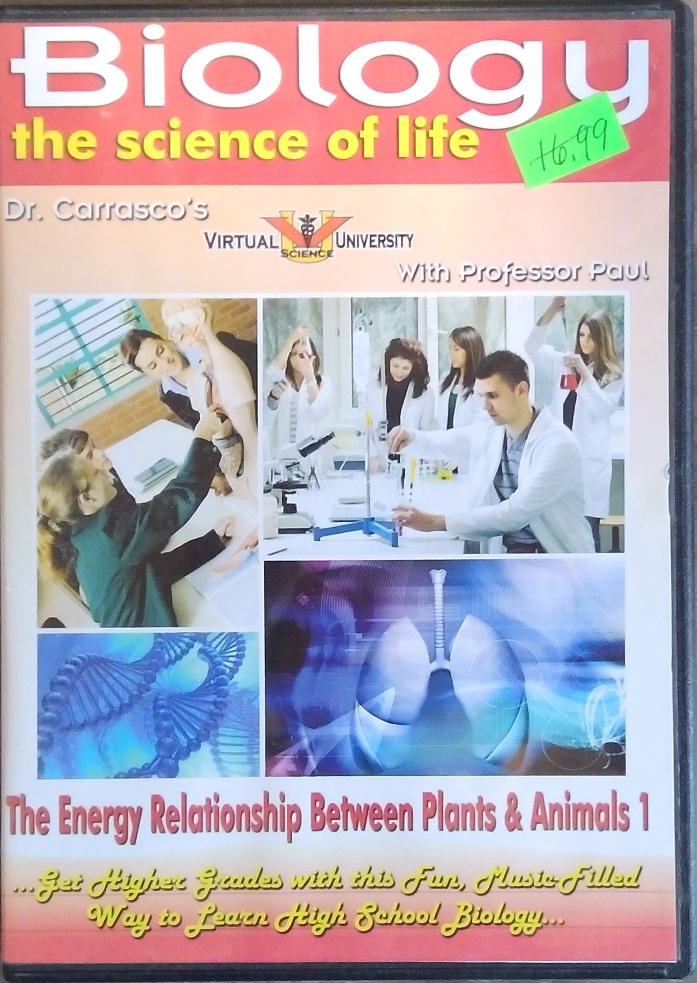 Biology: The Energy Relationship Between Plants & Animals 1