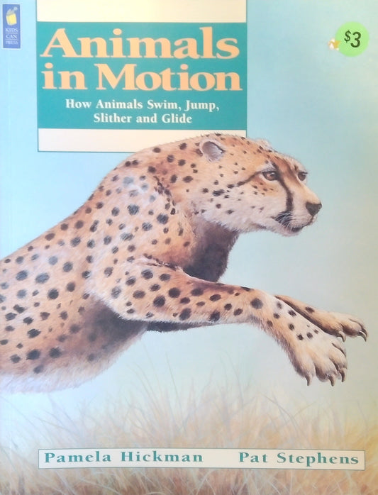 Animals In Motion