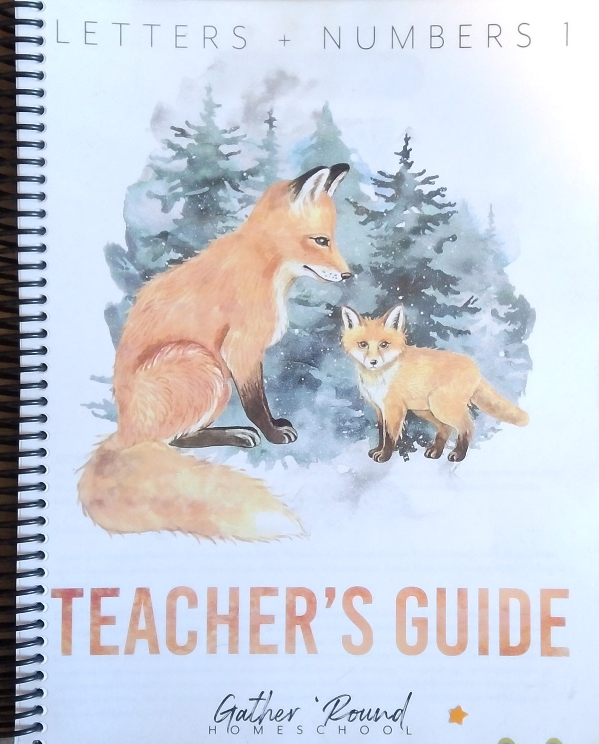 Gather 'Round: Letters & Numbers 1 Teacher's Guide