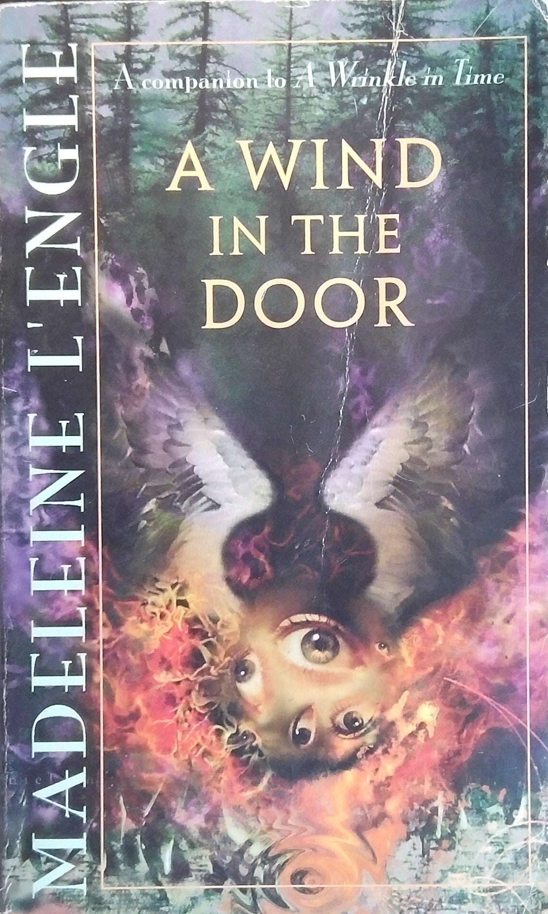 A Wind In The Door