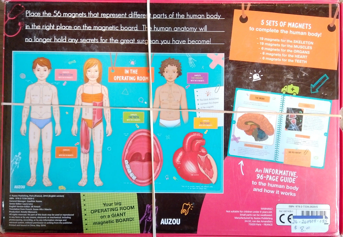 The Human Body And How It Works Magnet Set