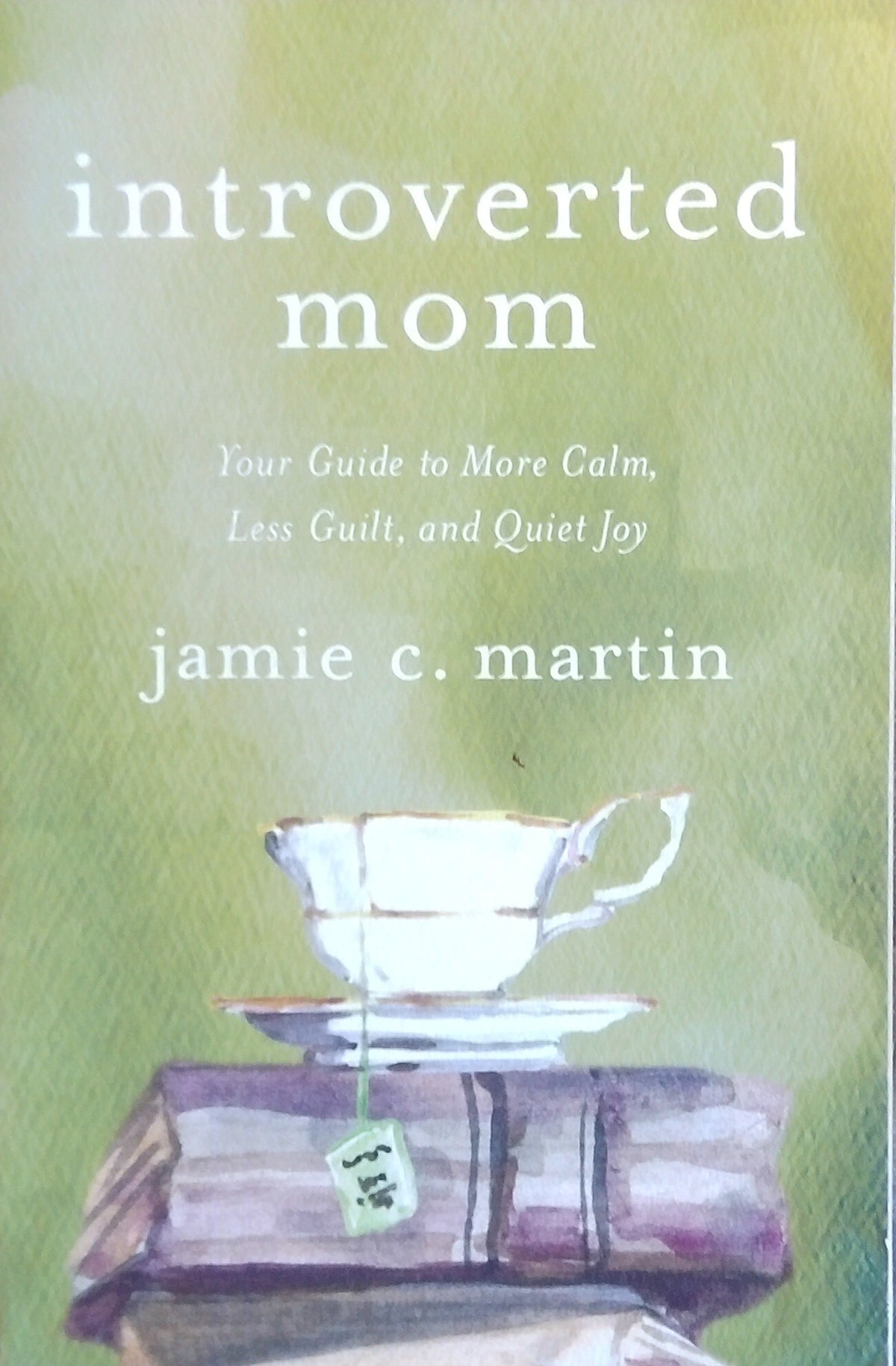 Introverted Mom