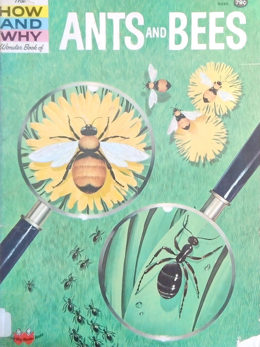 Ants & Bees