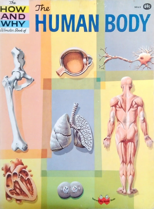 The Human Body