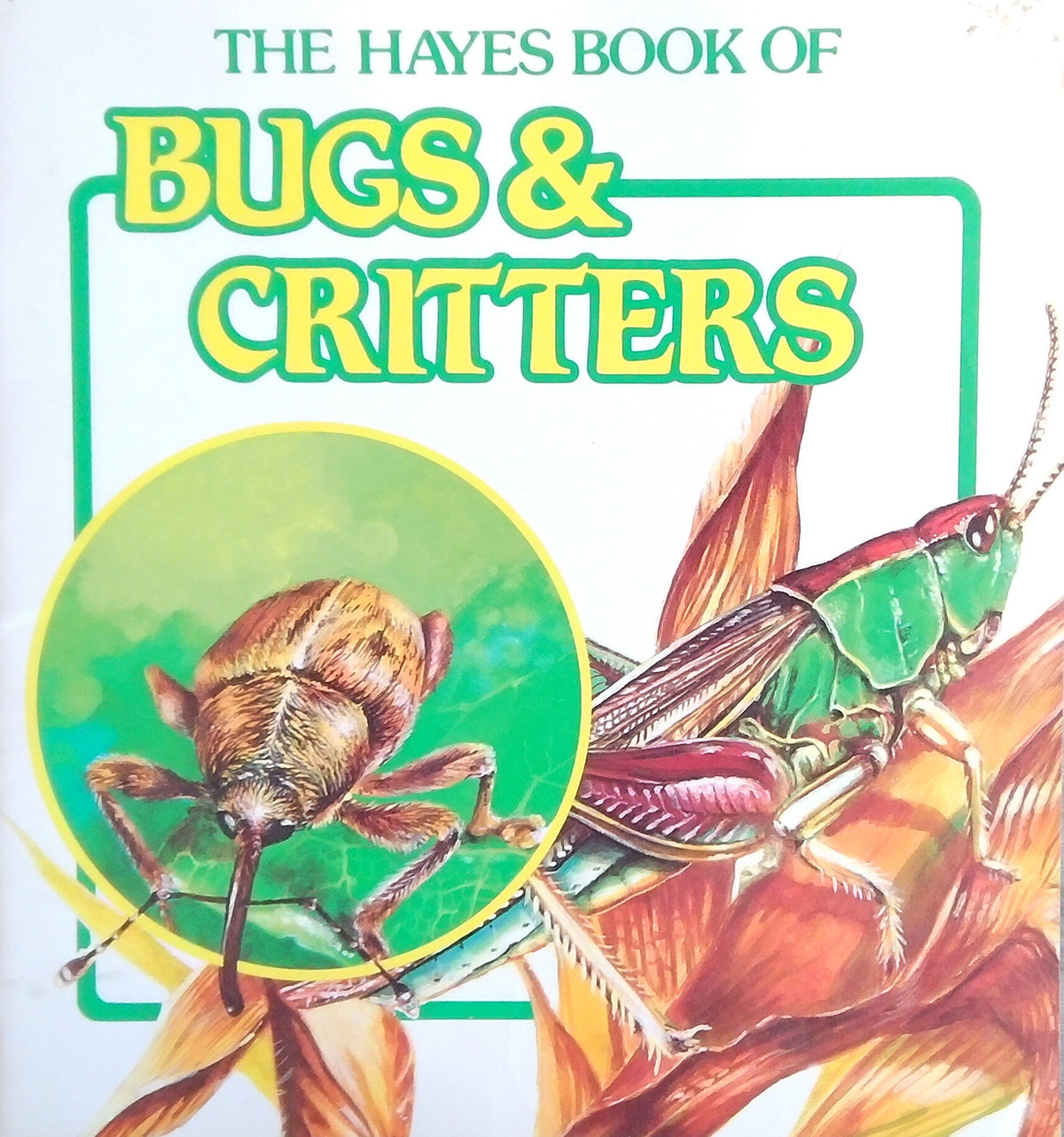 Bugs & Critters