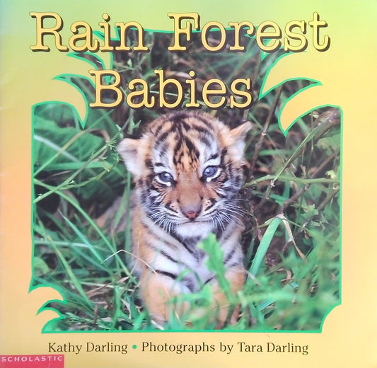 Rain Forest Babies