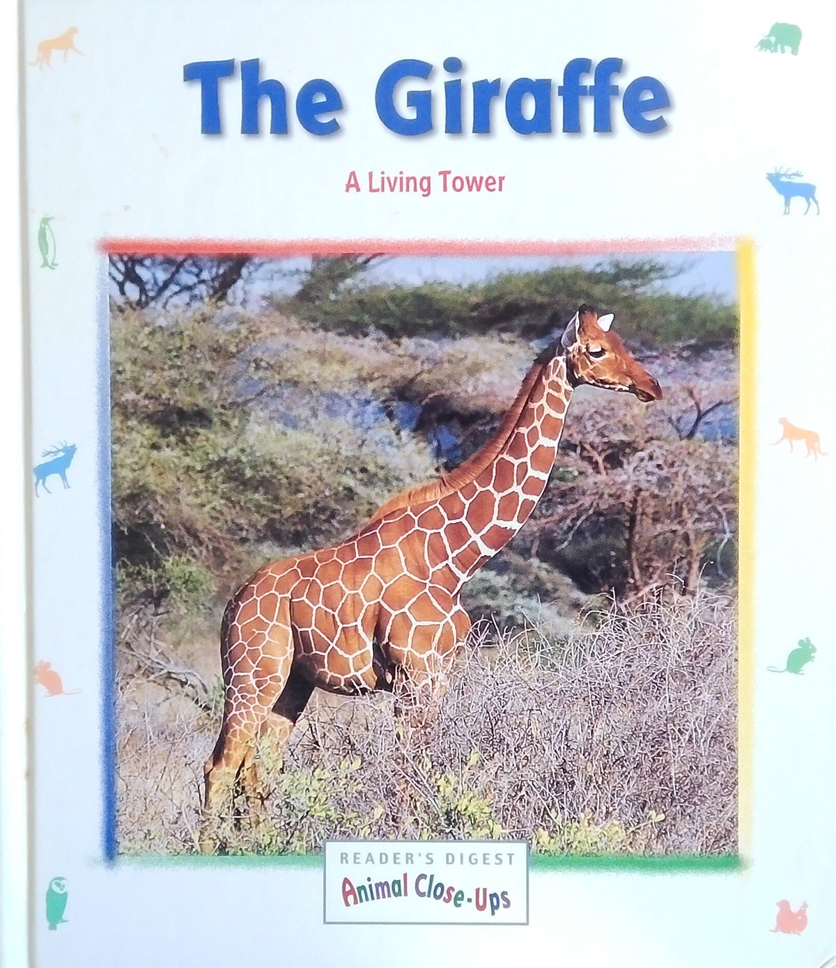 The Giraffe: A Living Tower