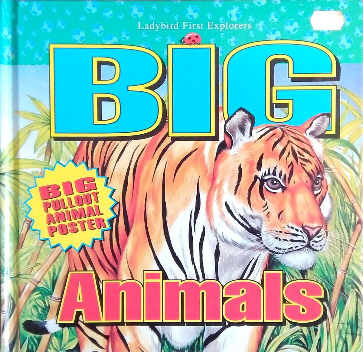 Big Animals