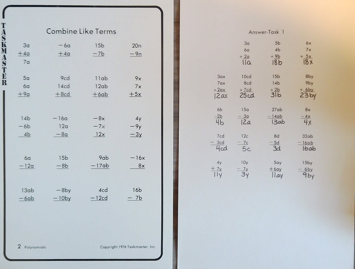 Taskmaster Wipe-Clean Task Cards: Polynomials