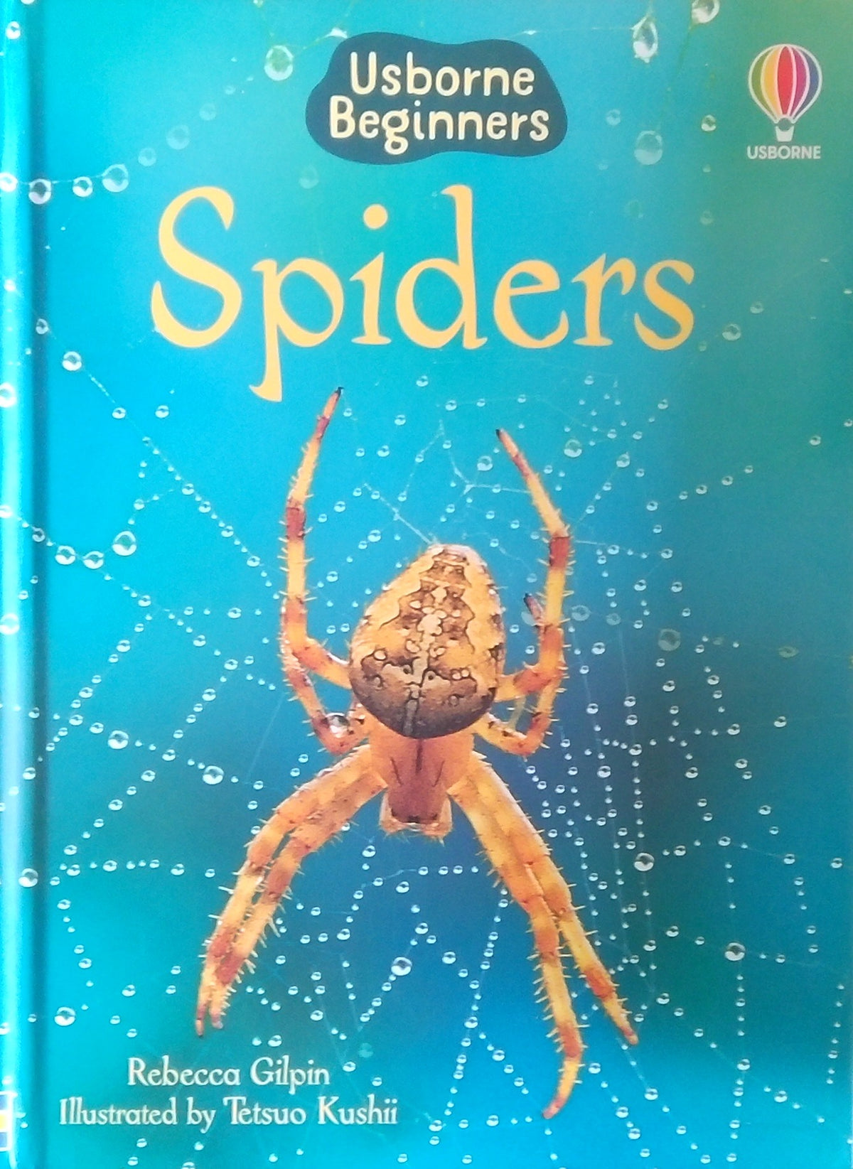 Spiders