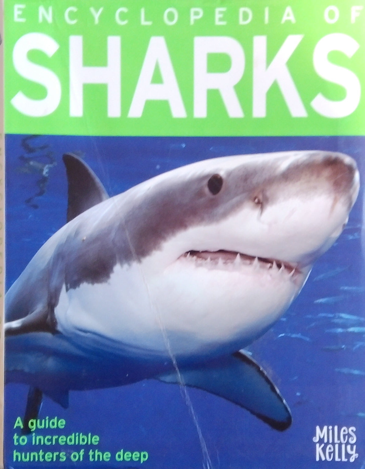 Encyclopedia Of Sharks