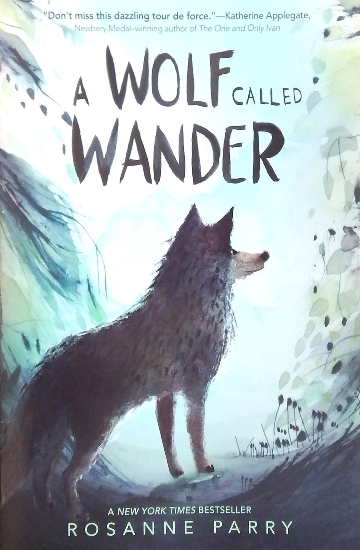 A Wolf Called Wander