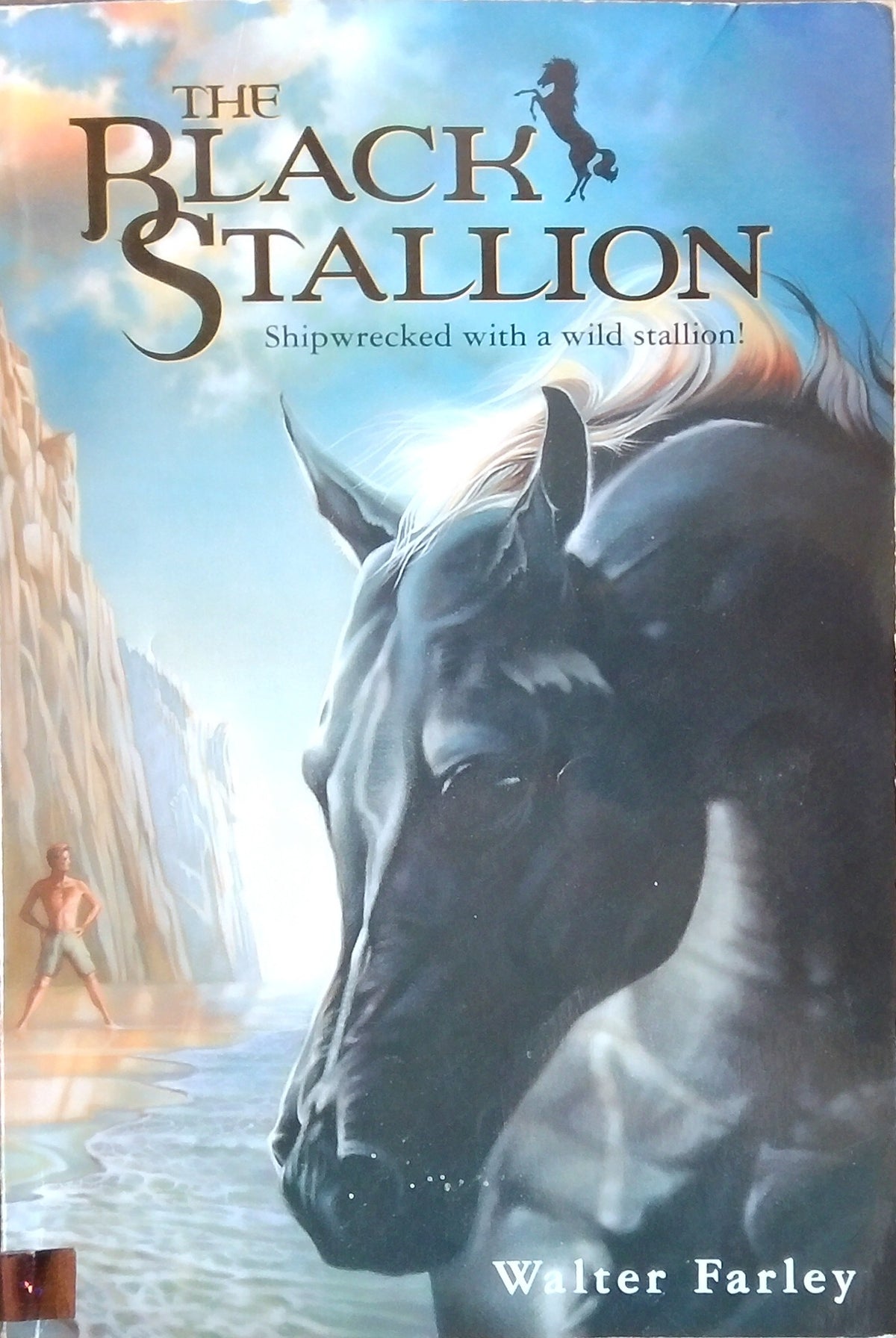 The Black Stallion