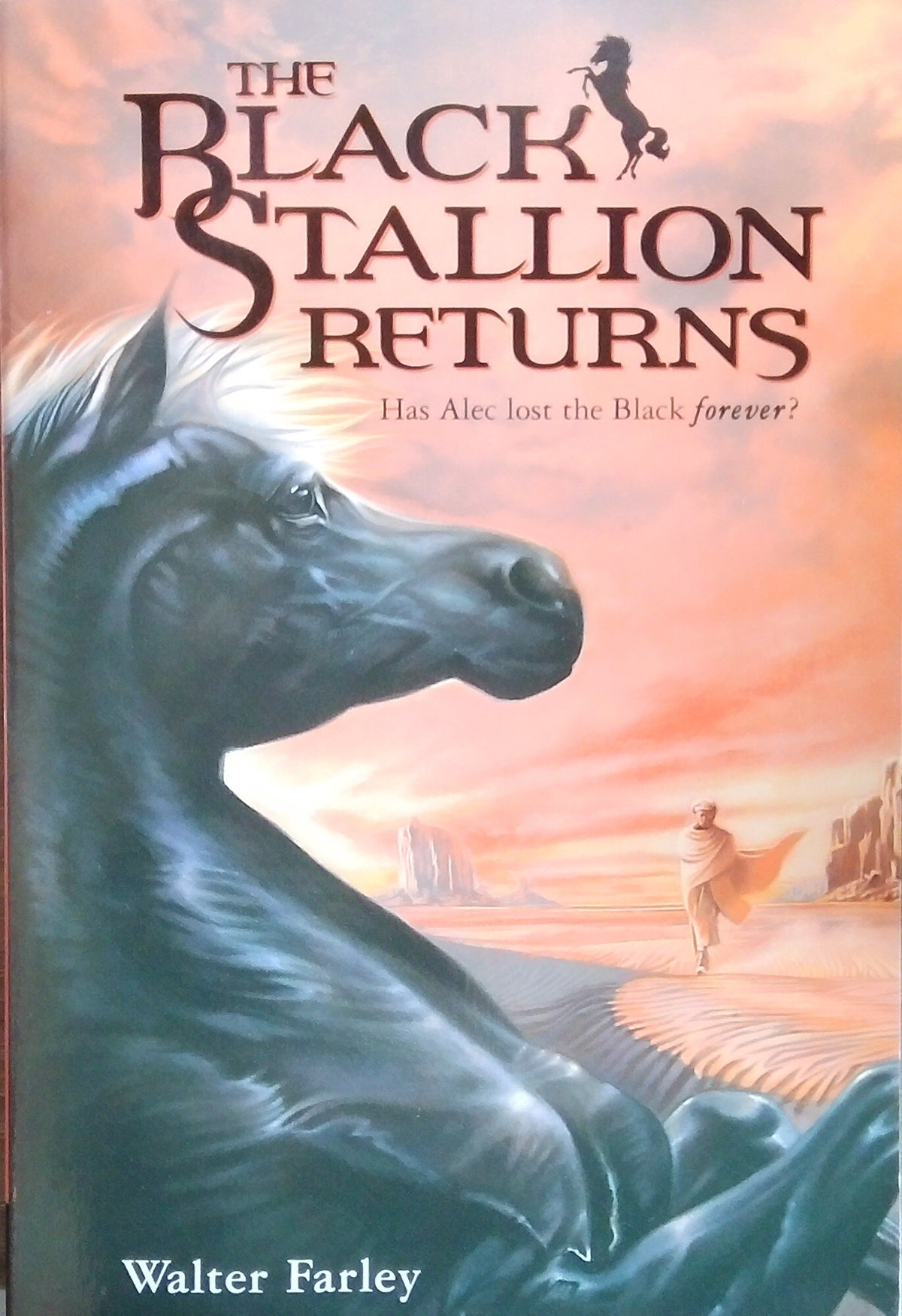 The Black Stallion Returns