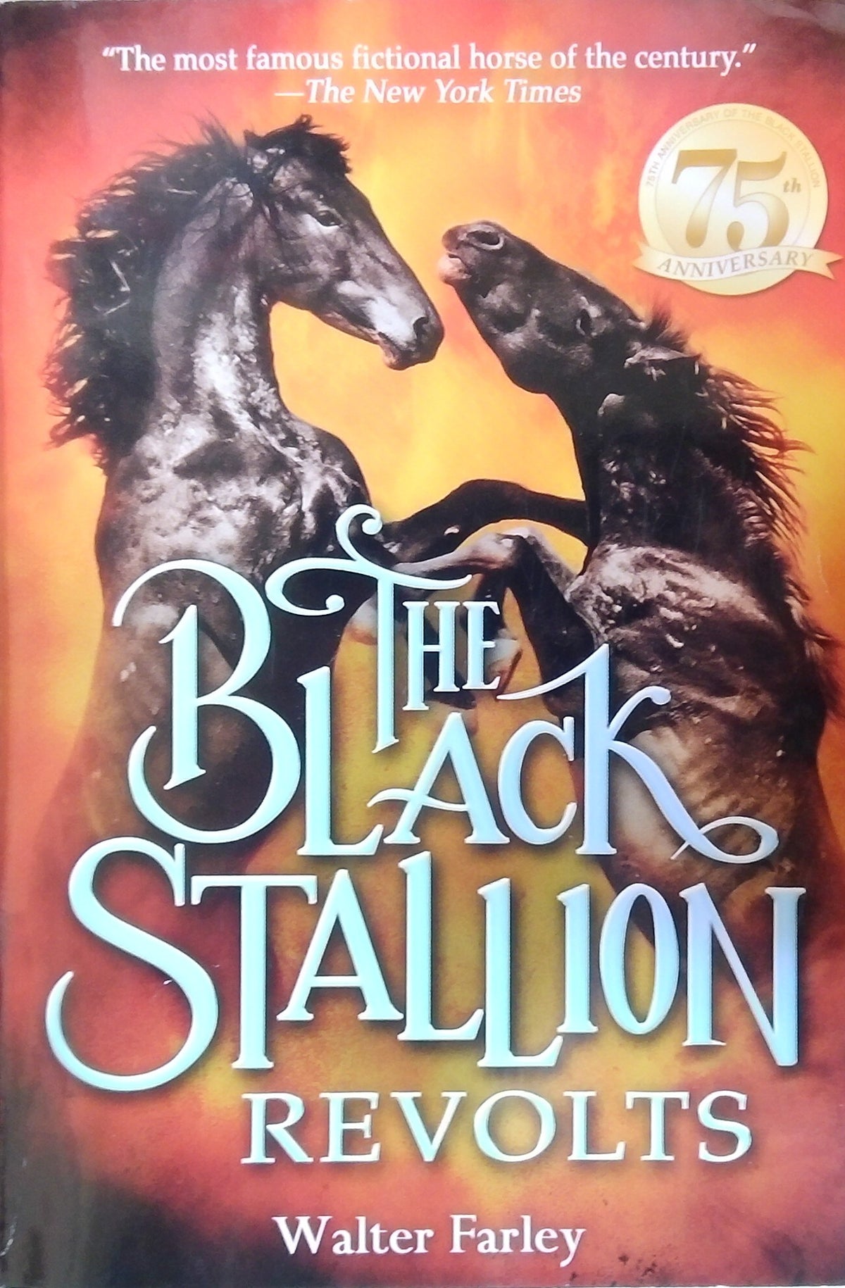 The Black Stallion Revolts