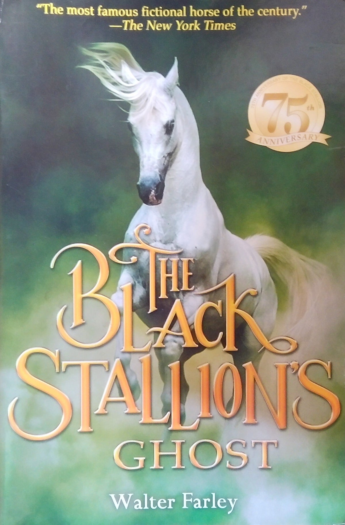The Black Stallion's Ghost