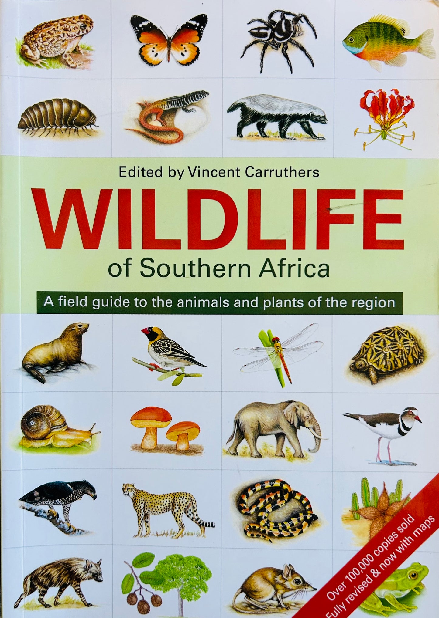 Wildlife of Southern Africa