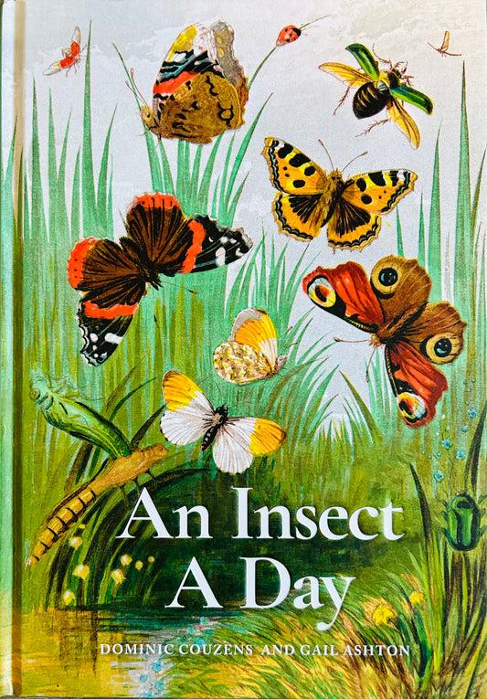 An Insect A Day